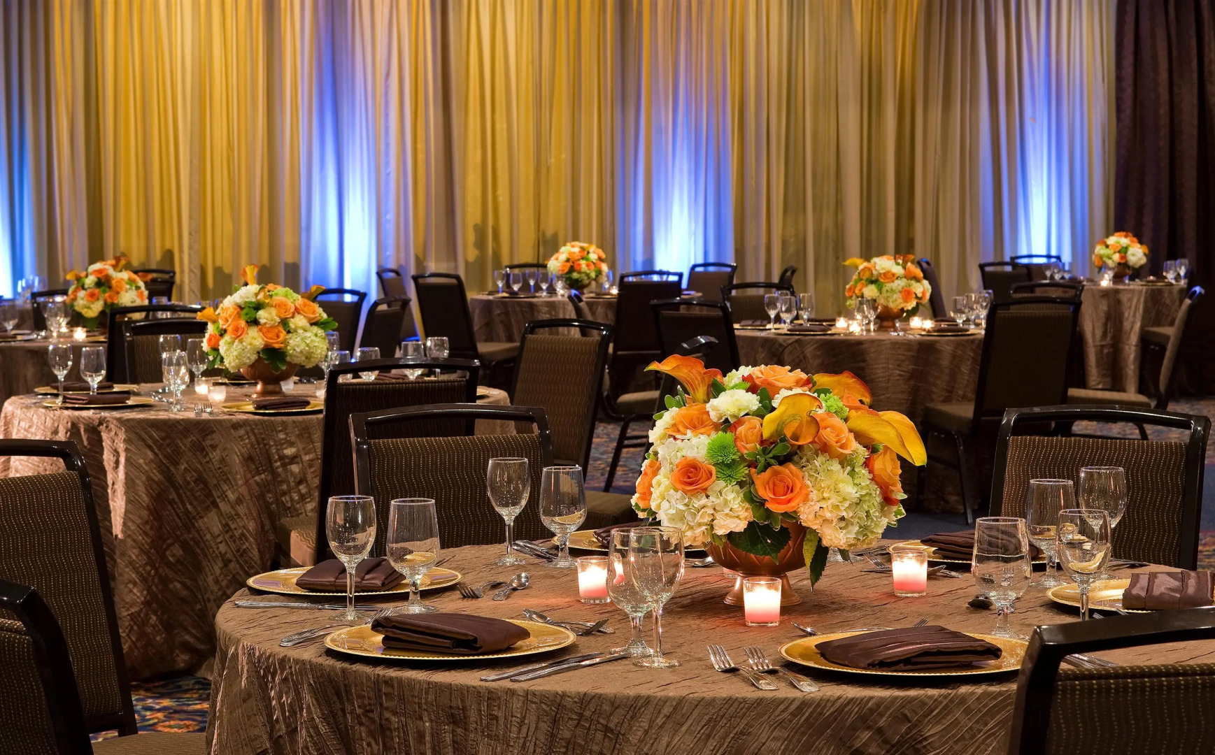 Photo - Sheraton Tampa Brandon Hotel