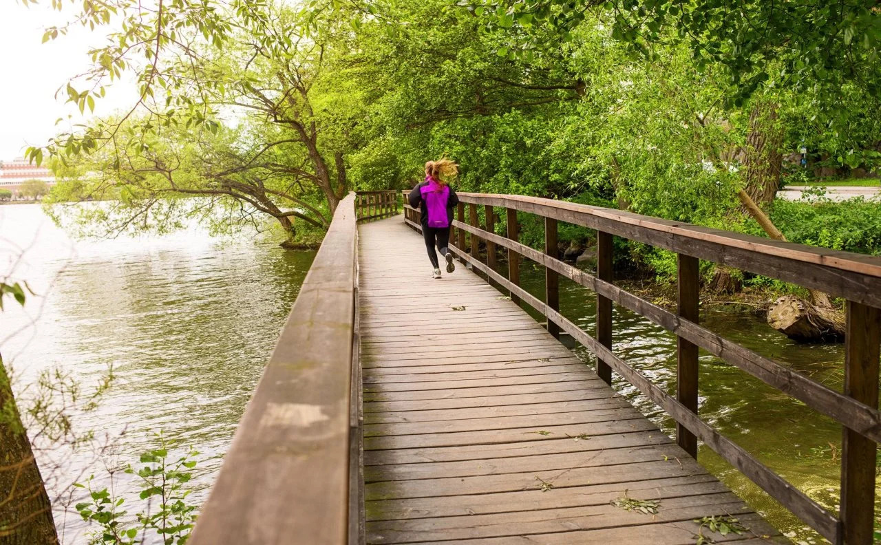 Foto - Scandic Alvik