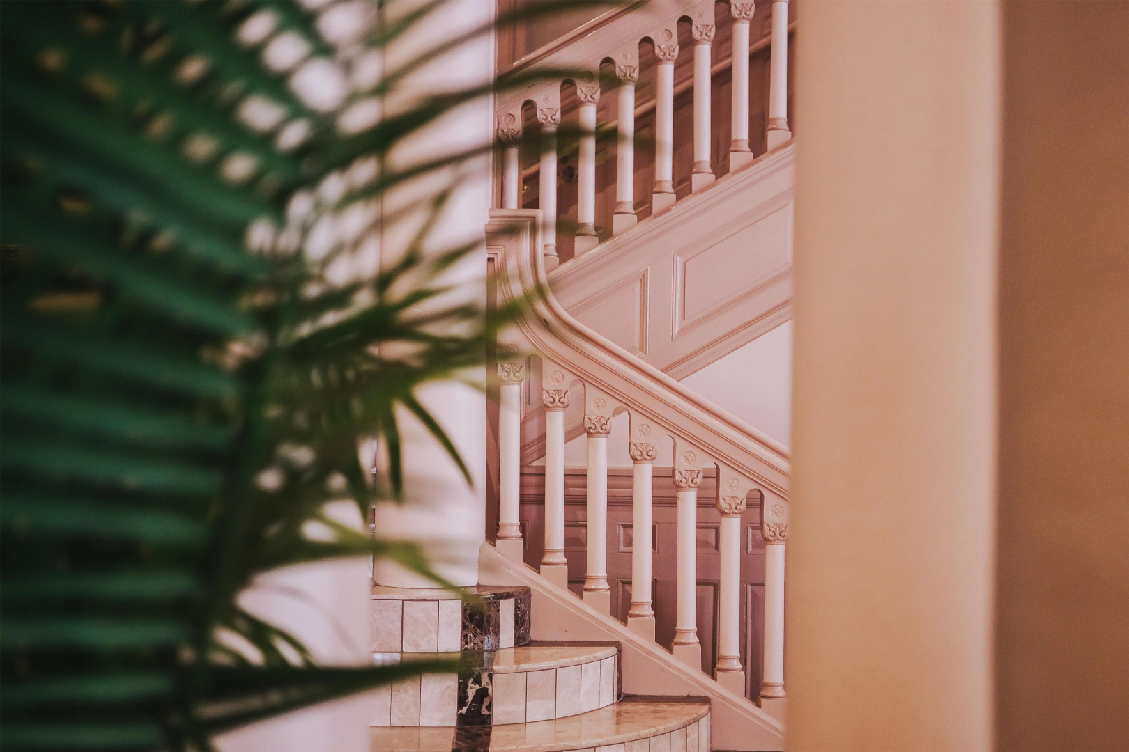 Foto - The Driskill