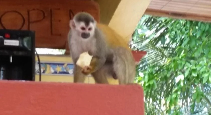 Photo - Hotel Tres Banderas