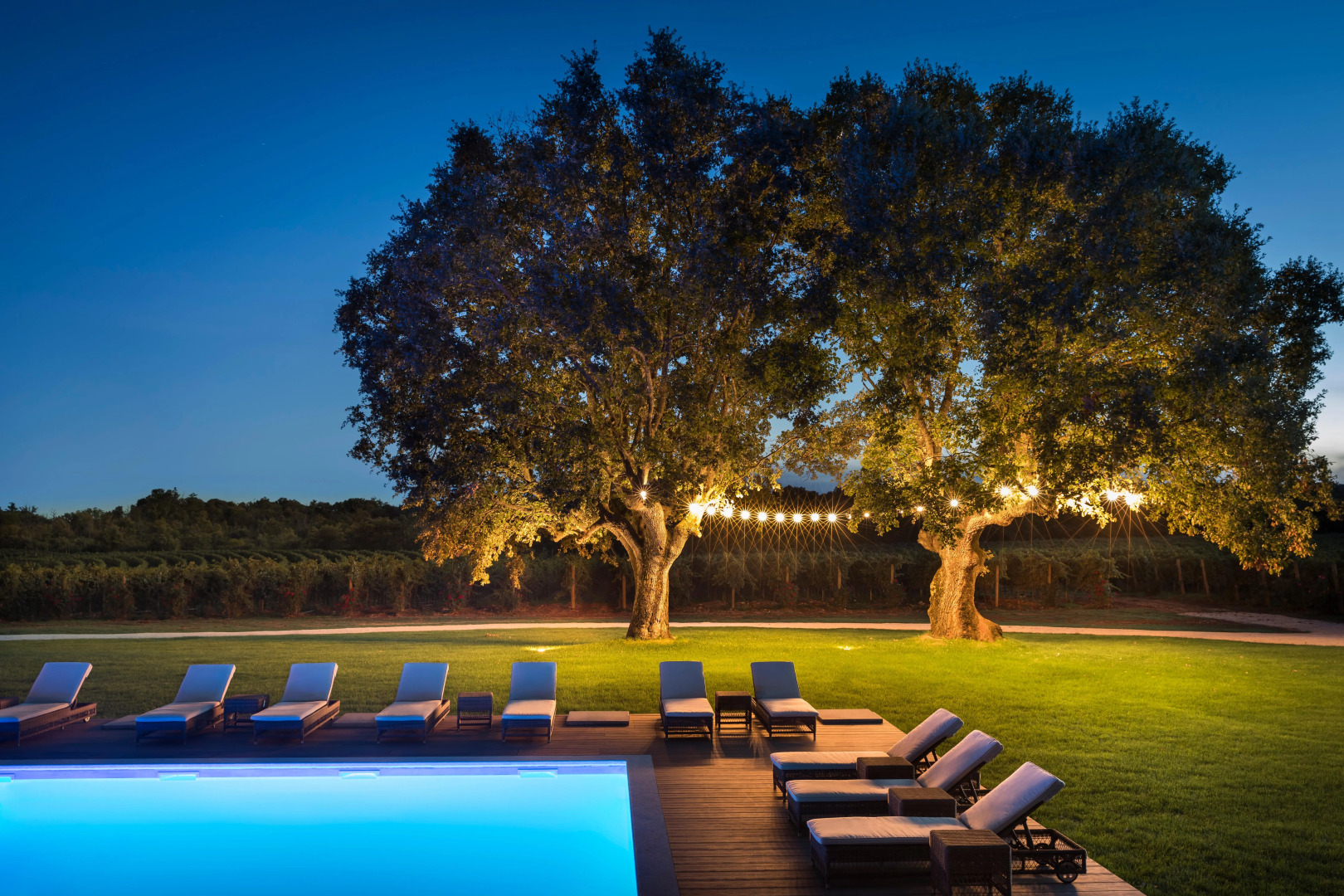 Photo - Meneghetti Wine Hotel and Winery - Relais & Chateaux