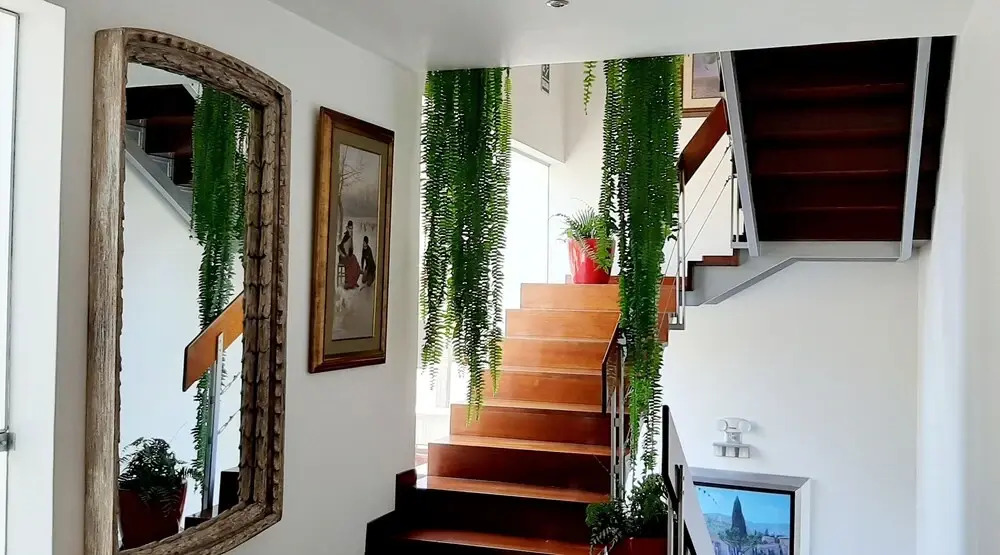 Foto - Ana Frank Boutique Hotel