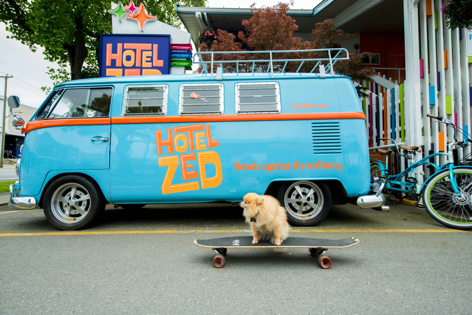 Foto - Hotel Zed Victoria