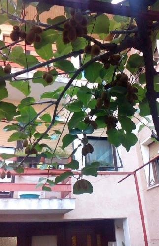 Julija Guest House
