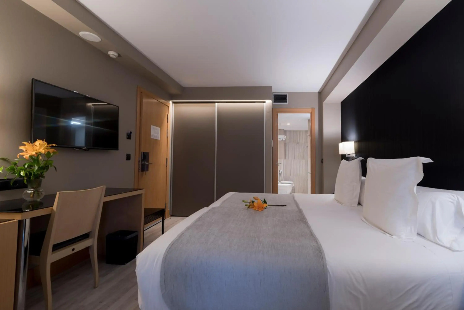 Foto - Hotel Plaza