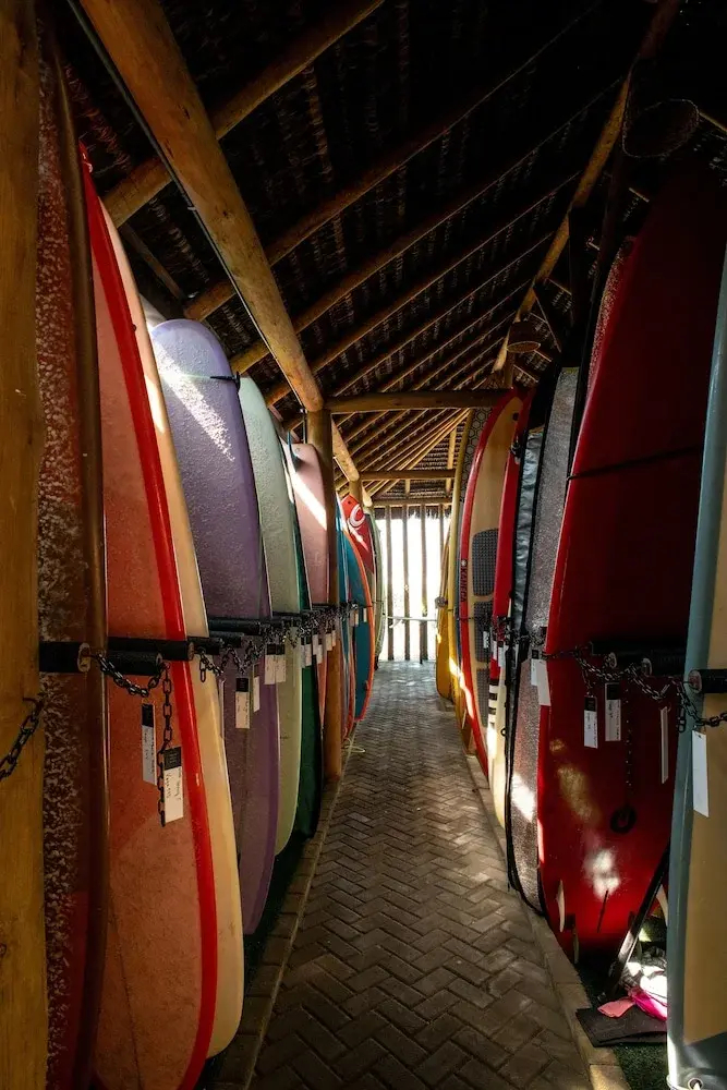 Foto - Longboard Paradise Surf Club