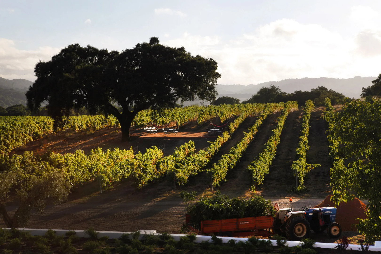 Foto - Hotel Casa Palmela - Small Luxury Hotels of The World, Hotel & Villas