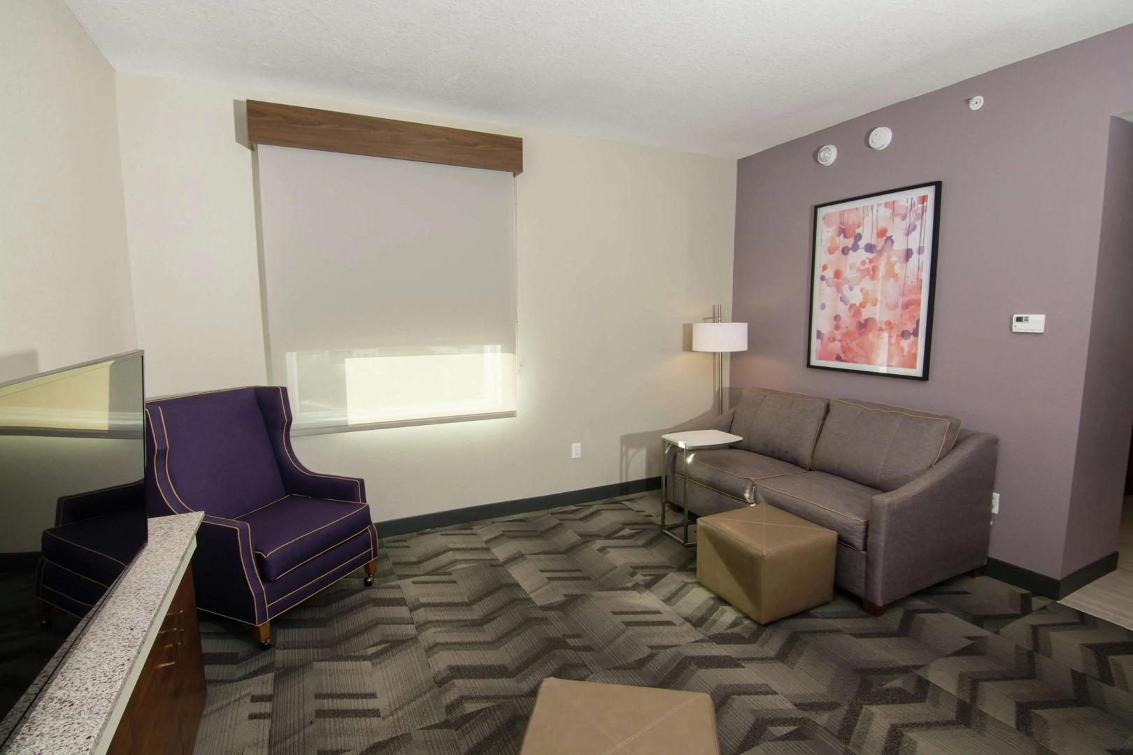 Photo - Hilton Garden Inn Tampa Suncoast Parkway