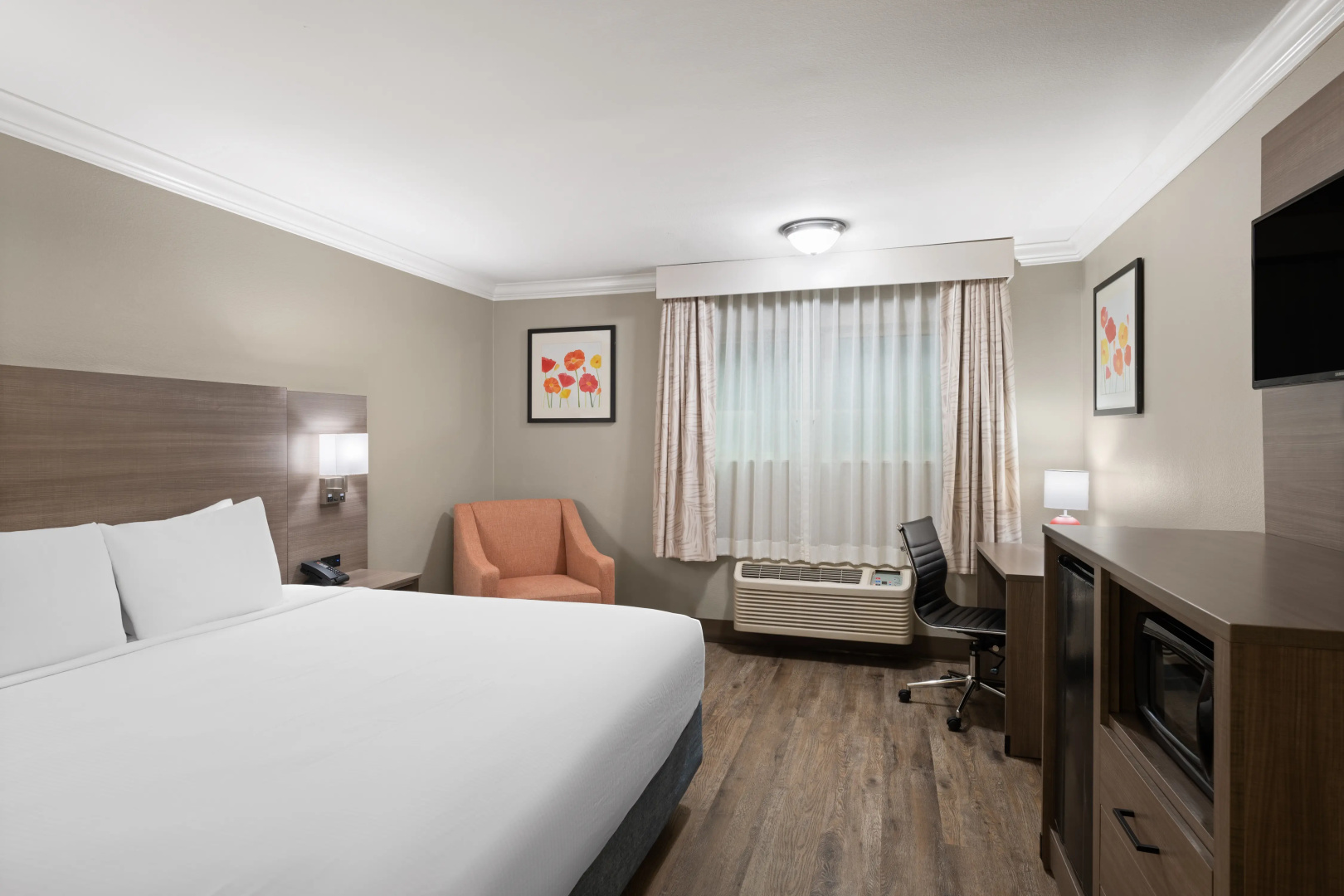Foto - Solara Inn and Suites