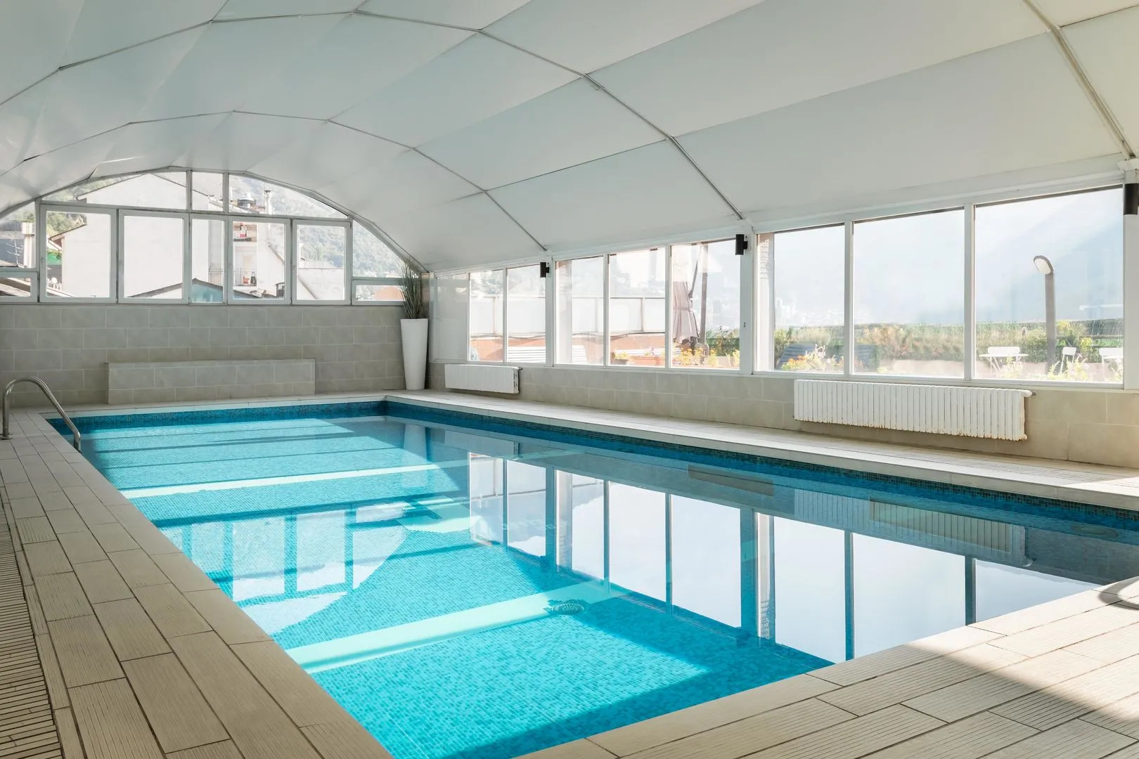 Foto - ALEGRIA President