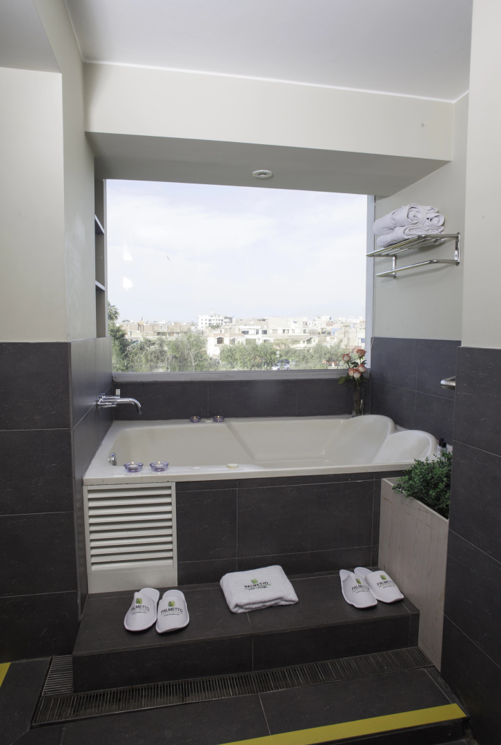 Photo - Palmetto Hotel Business San Miguel