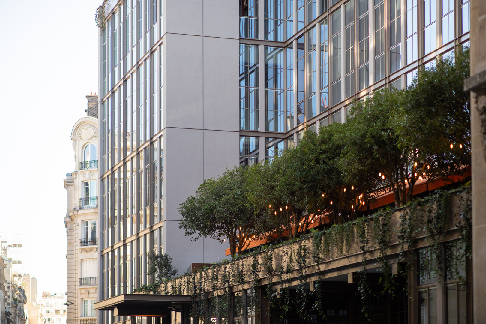 Photo - Brach Paris - Evok Collection