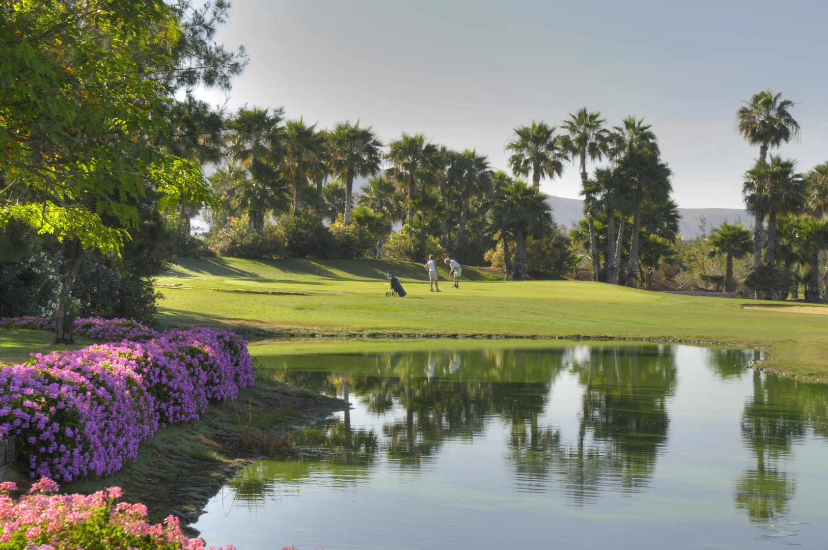 Foto - 1881 Tenerife Madrigueras Golf Hotel