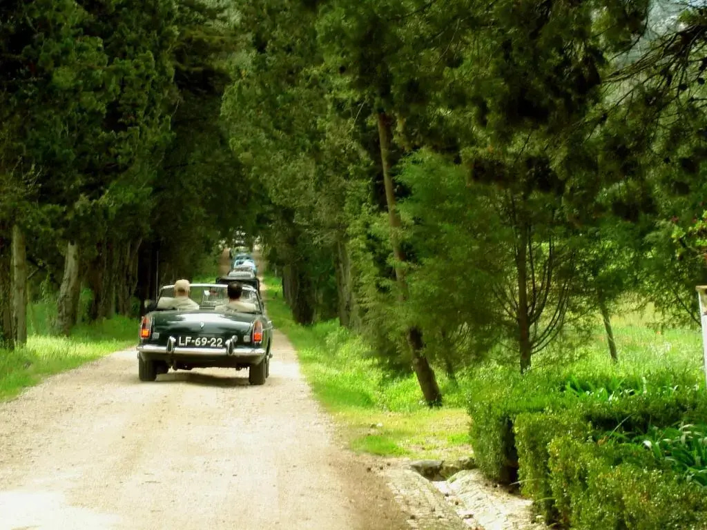 Photo - Quinta da Alcaidaria Mór