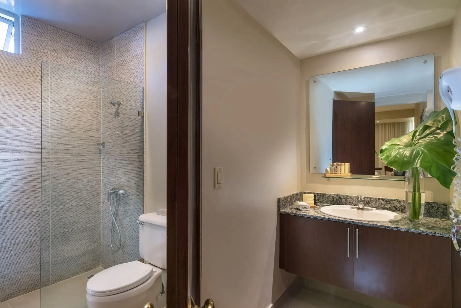 Foto - Hodelpa Caribe Colonial