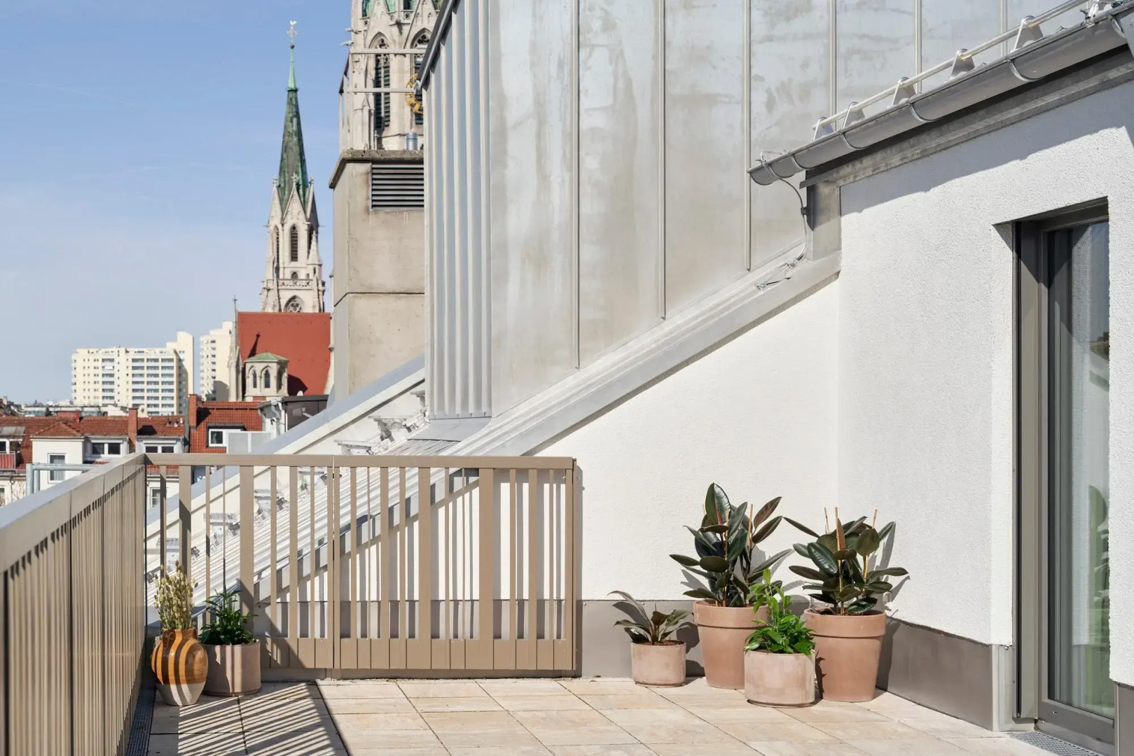 Photo - Schwan Locke