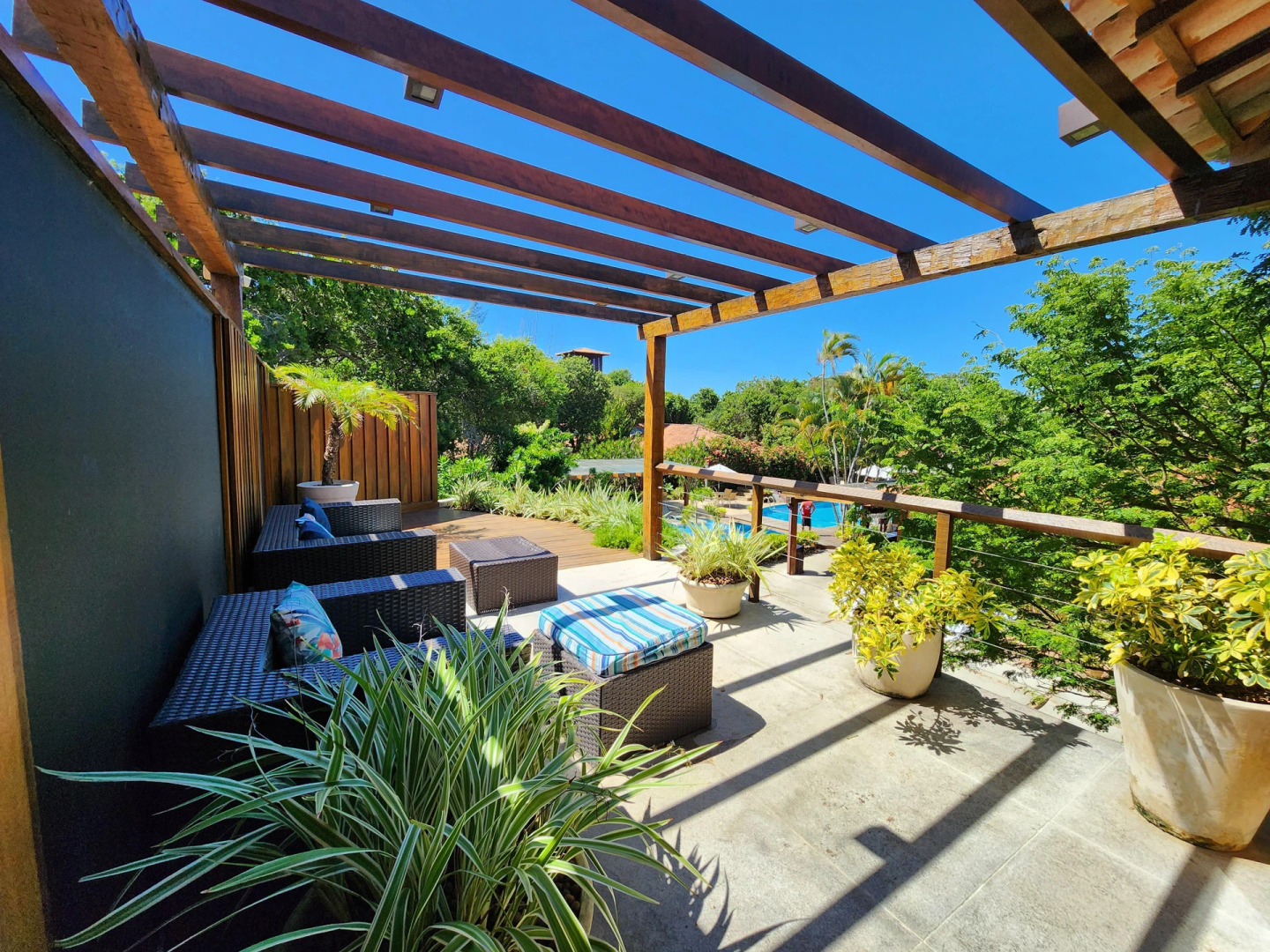 Photo - Corais e Conchas