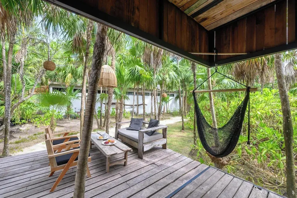 Foto - Vida Silvestre Tulum