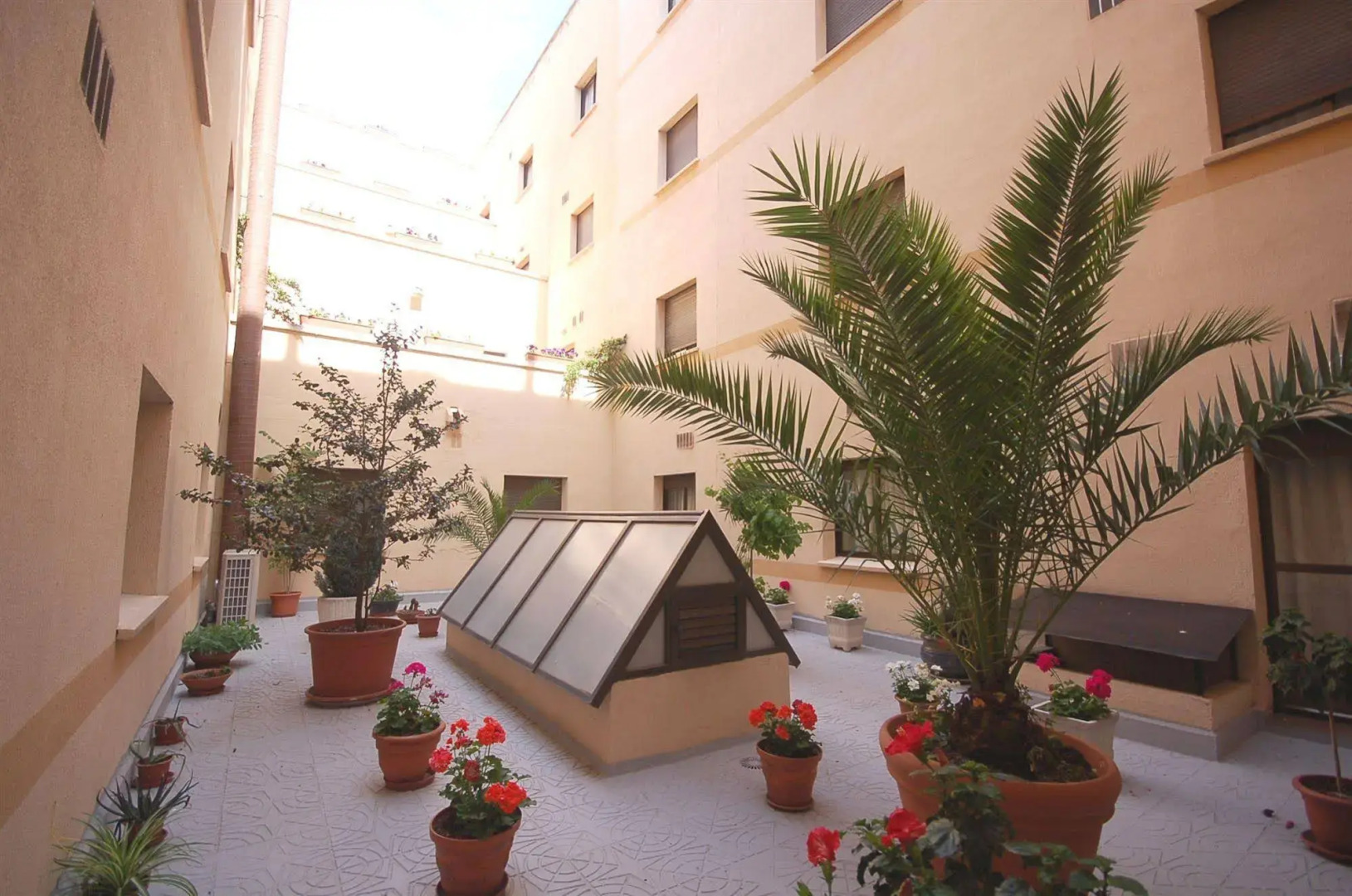 Foto - Hotel Zentral Mayoral