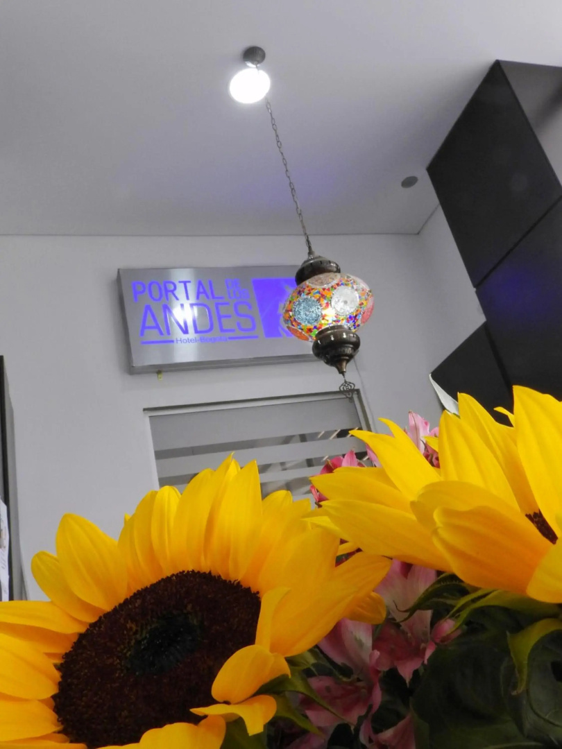 Foto - Hotel Portal de los Andes