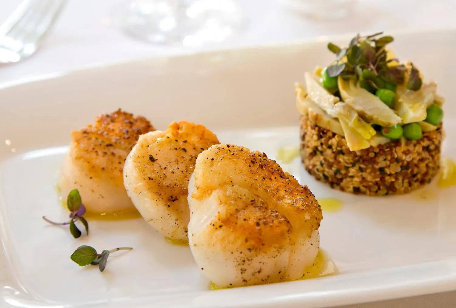 Photo - Warwick Melrose Hotel