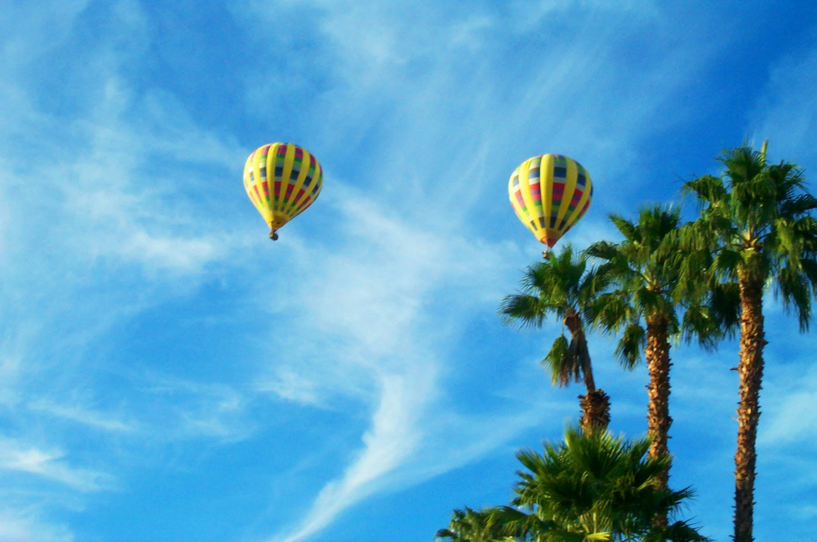 Foto - Hampton Inn & Suites Palm Desert