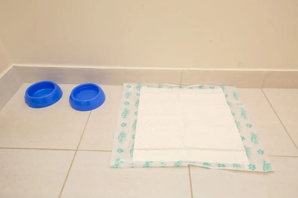 Photo - Transamerica Fit Campinas