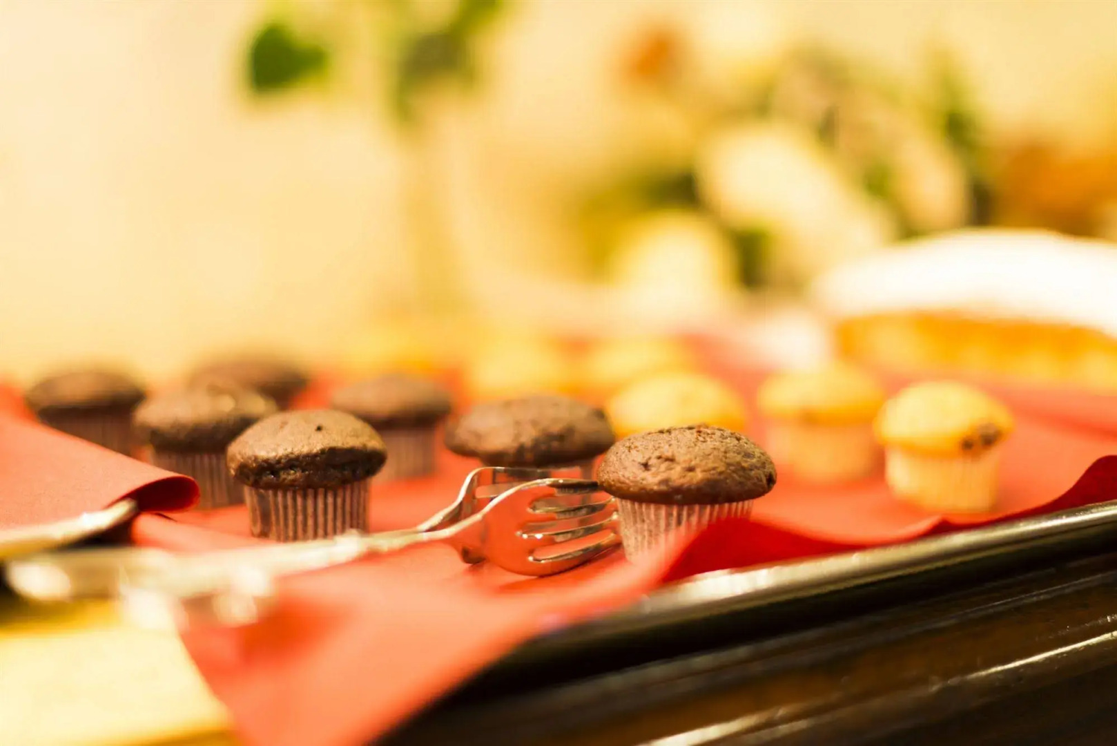 Photo - Hotel Tiziano