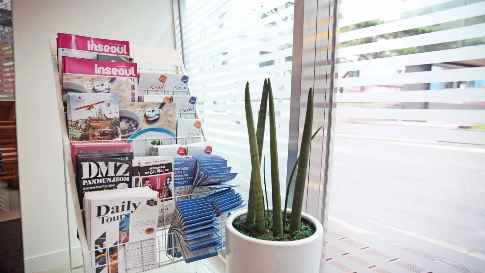 Foto - Starria Hostel foreign guest only