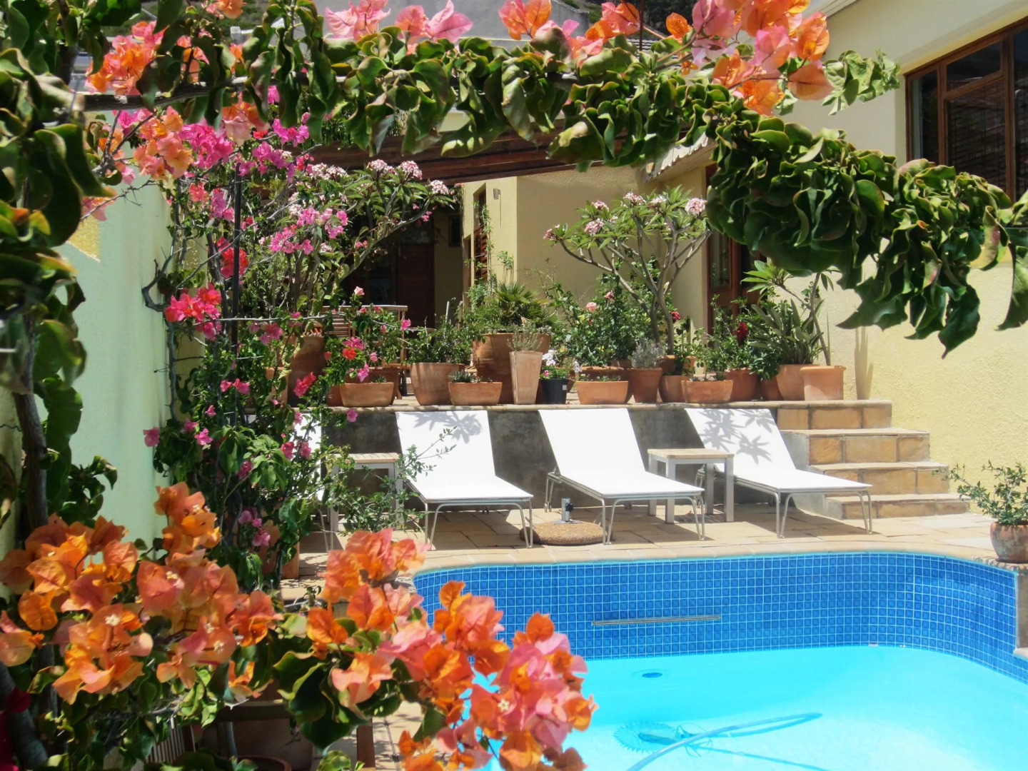 Foto - LOLOHO LODGE - 24h solar power