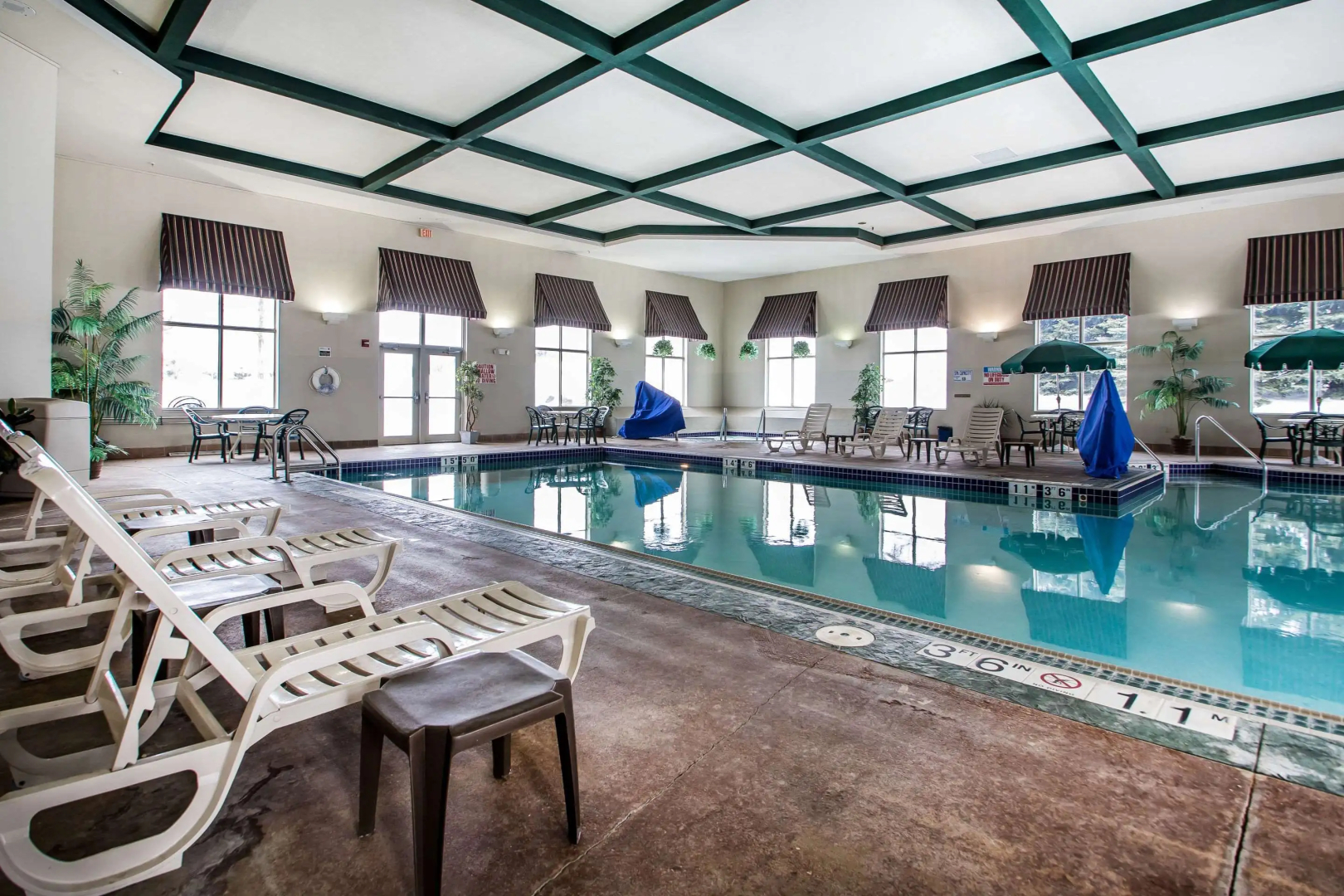 Foto - Comfort Suites Madison West - Middleton