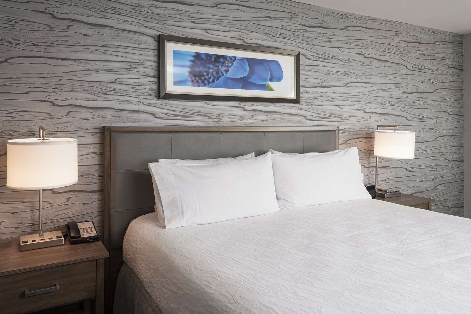 Foto - Homewood Suites by Hilton Ottawa Downtown