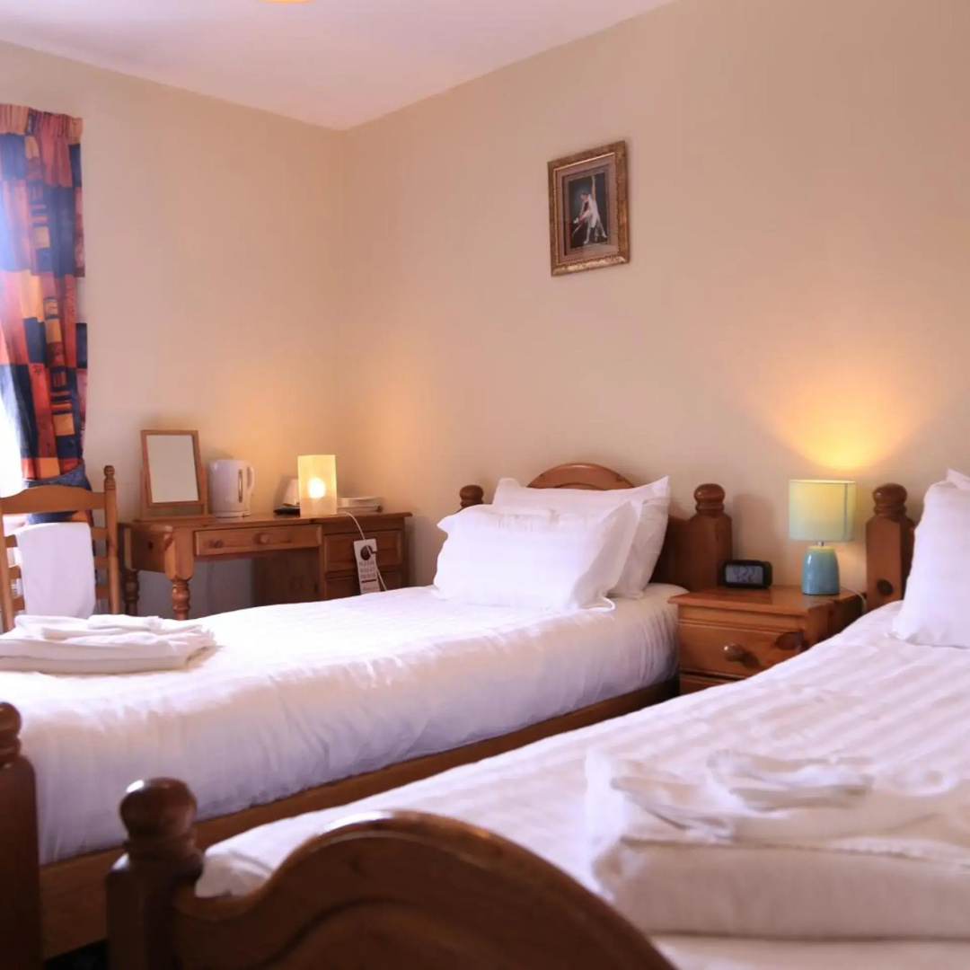 Photo - Twin Lions Hotel
