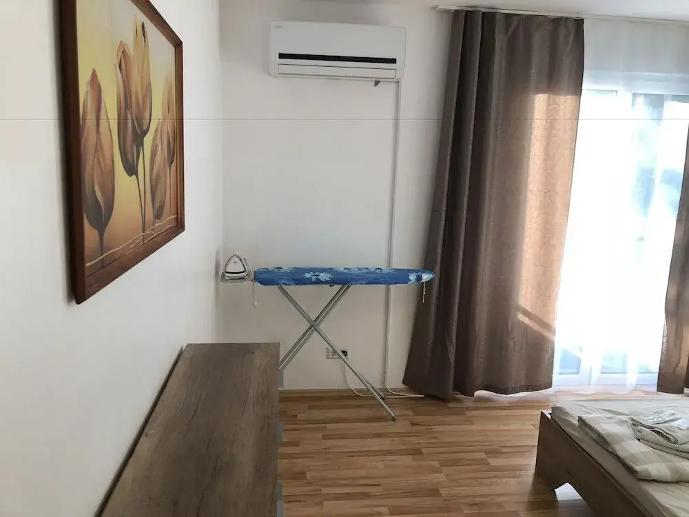 Photo - Sahara Falcon