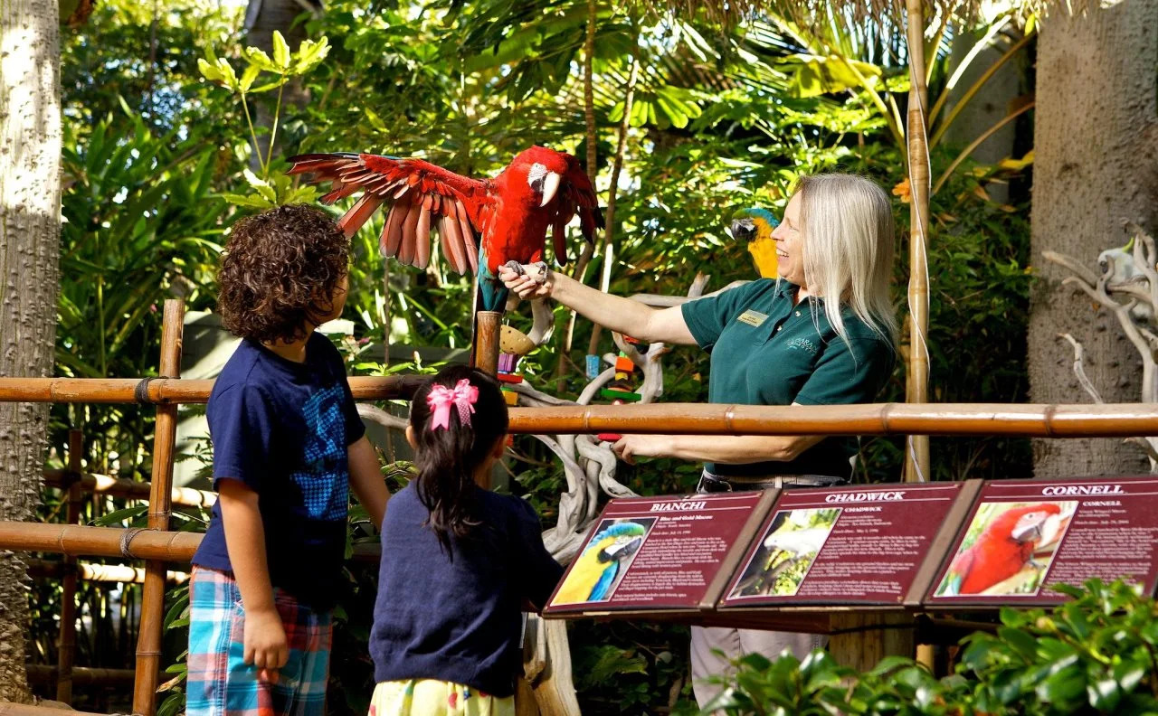 Foto - Catamaran Resort Hotel and Spa