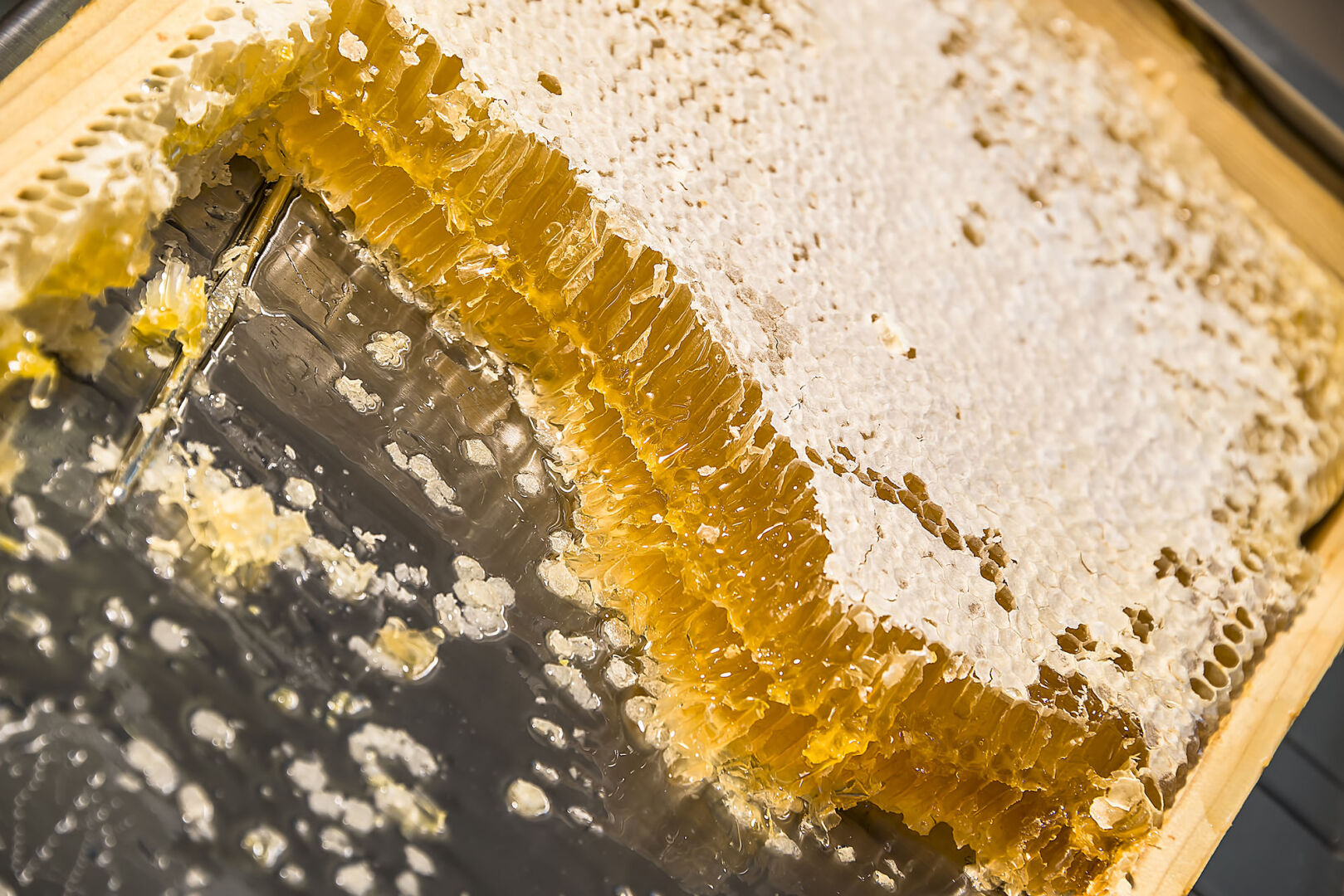 Foto - Grotthuss Boutique Hotel Vilnius