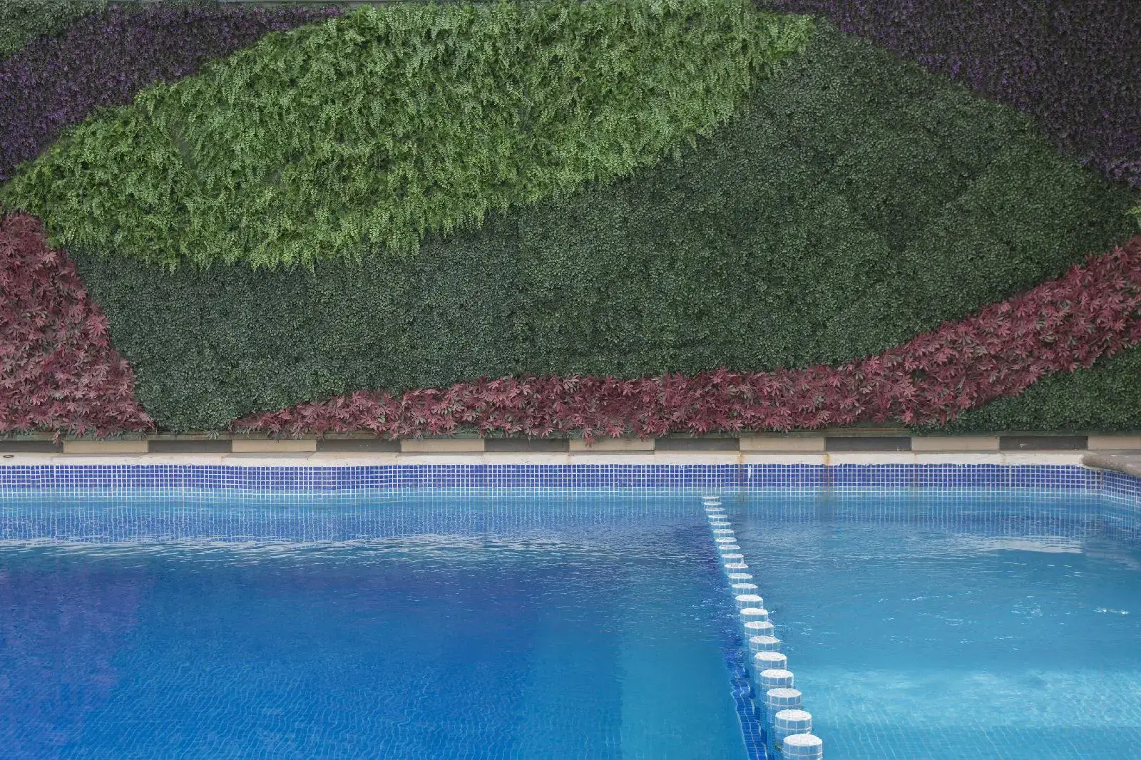 Photo - Hotel Morales Historical & Colonial Downtown Core