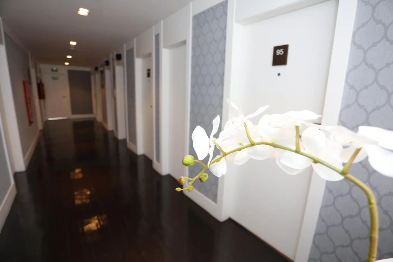 Foto - Hotel Trianon Paulista