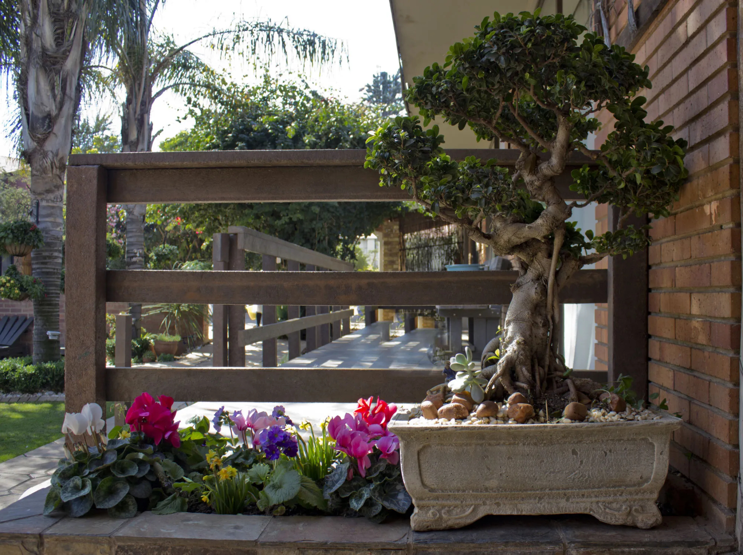 Foto - Sunrock Guesthouse