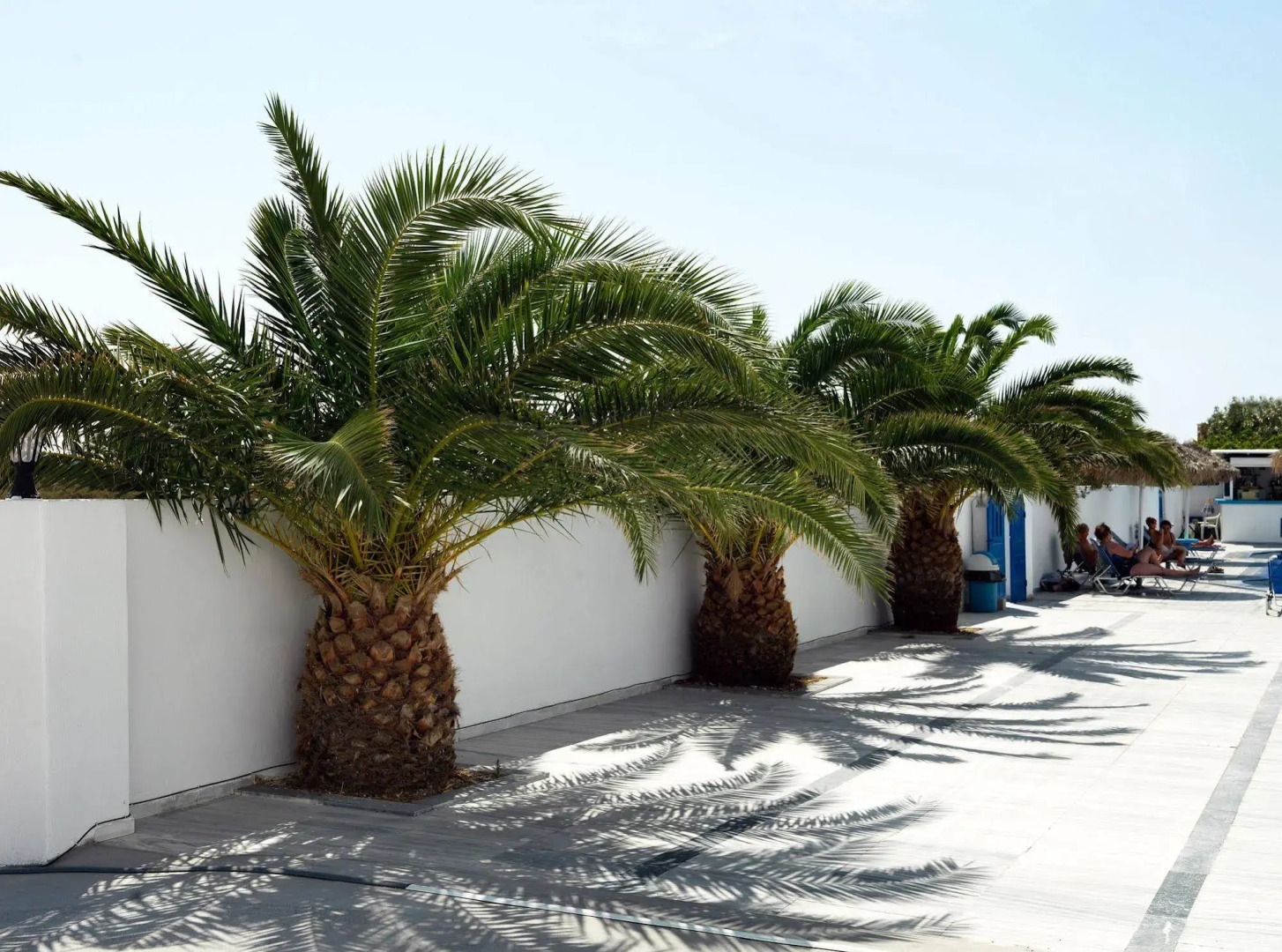 Photo - Villa Valvis