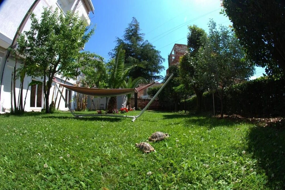 Photo - Villa Green Garden