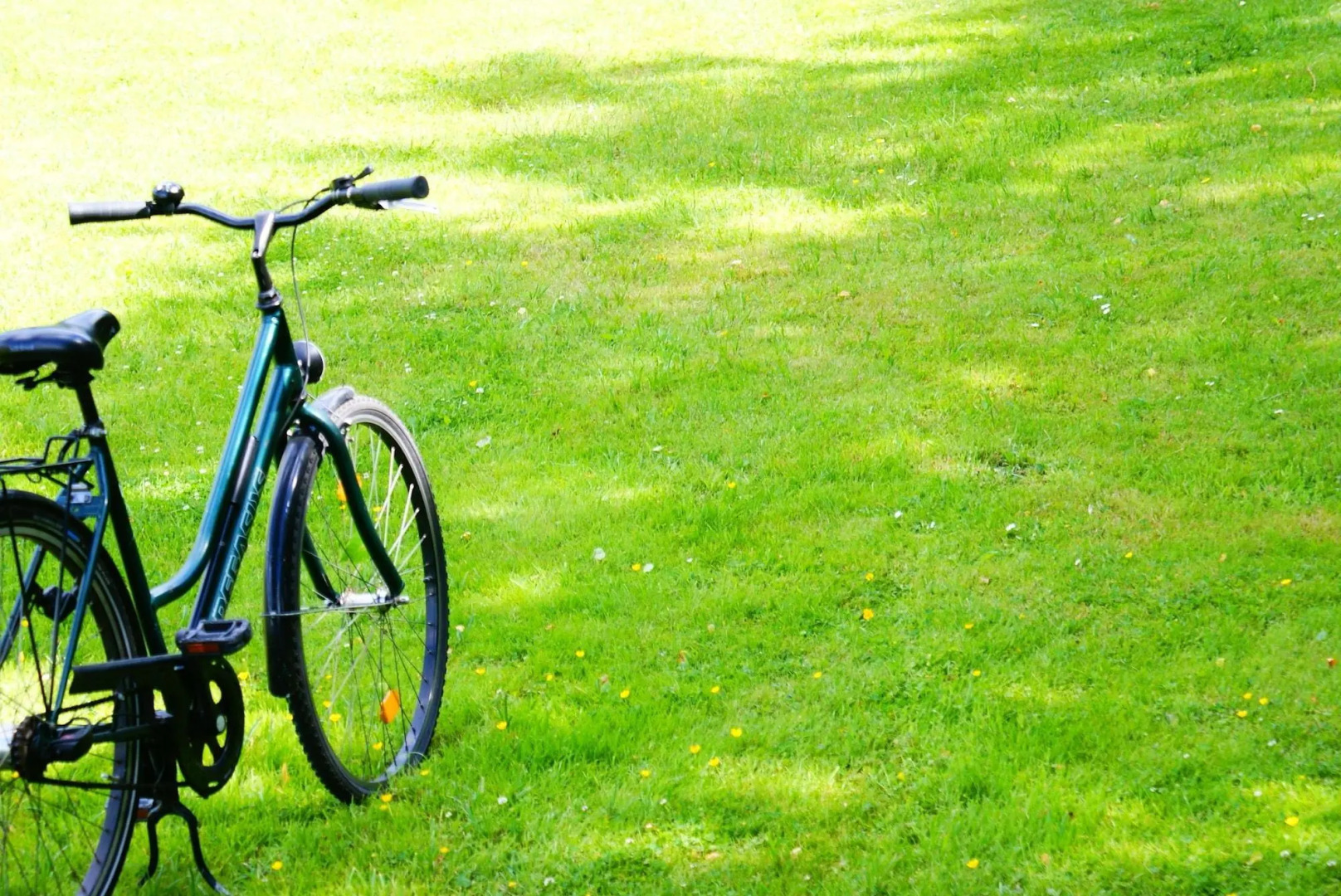 Foto - Sunflower Hostel Berlin