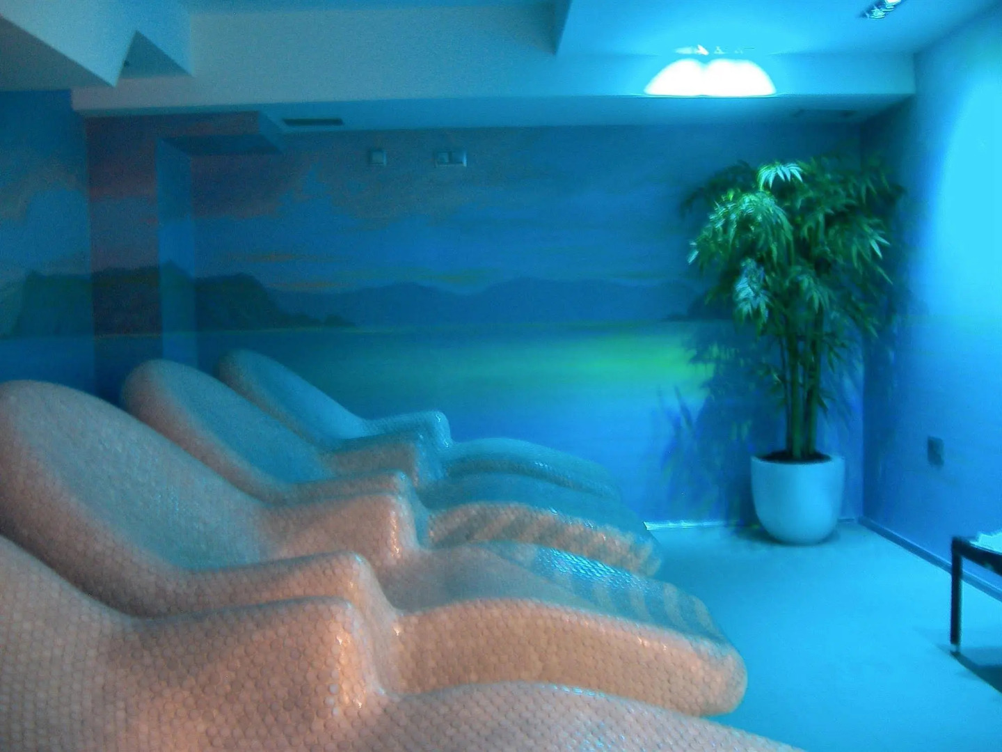 Foto - Hotel Palacio de la Magdalena