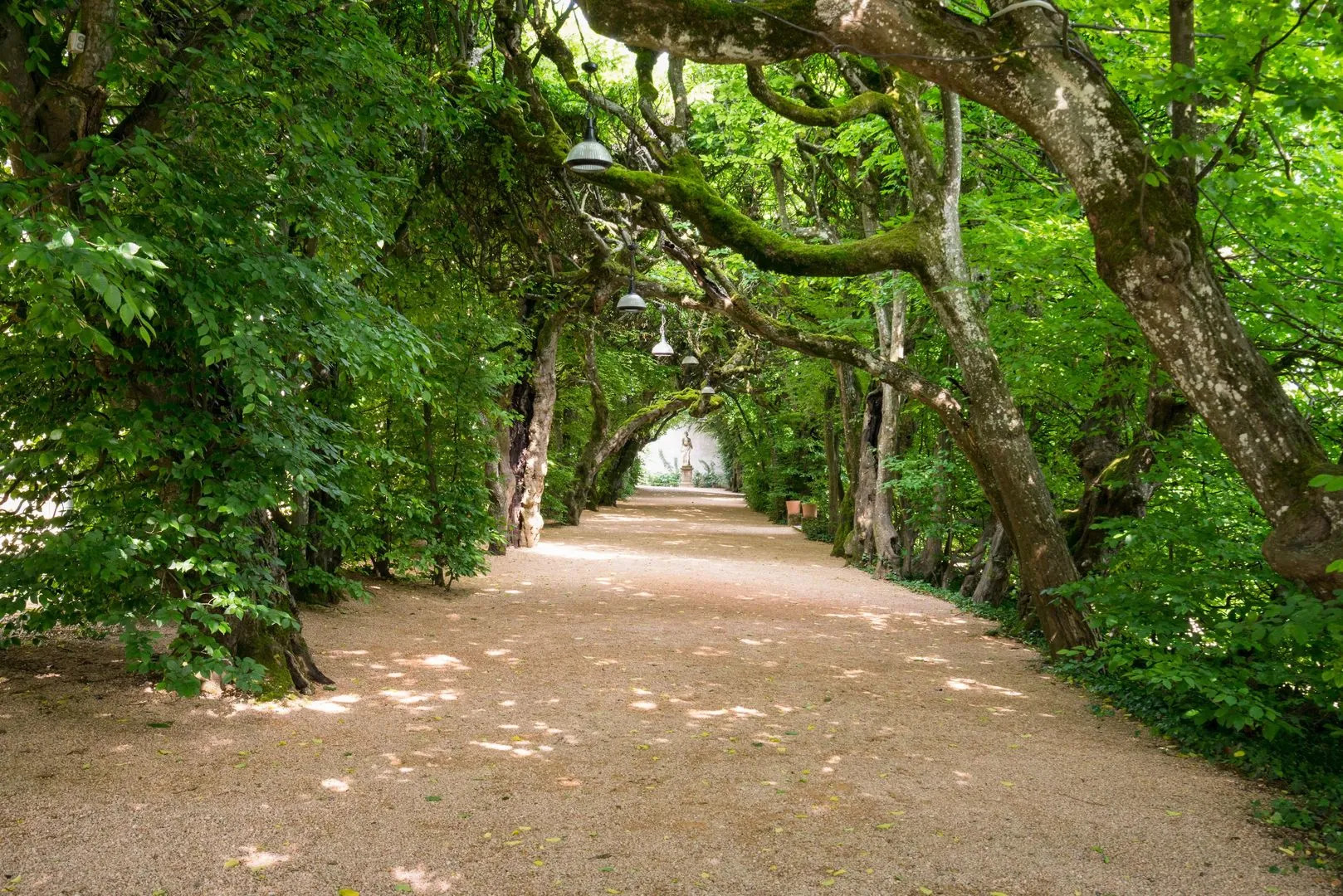 Foto - Château de Pizay