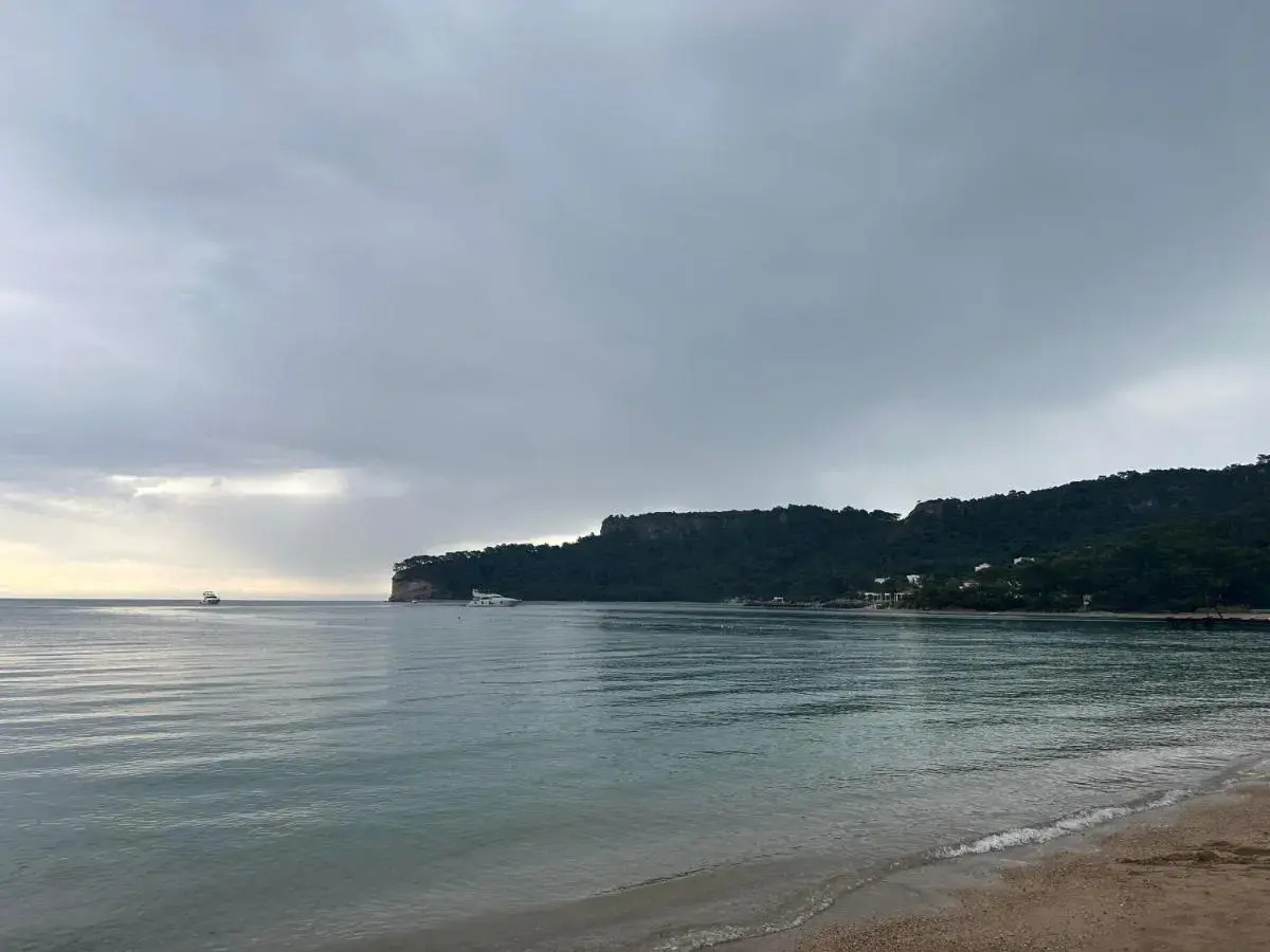 Photo - Naturella Apart