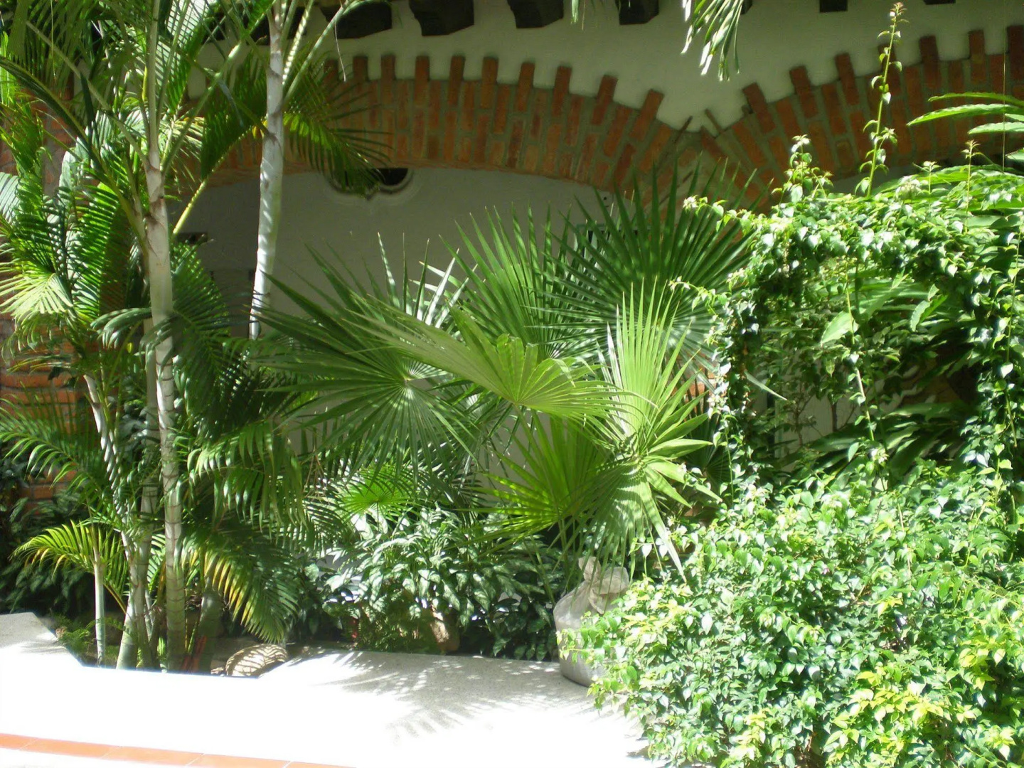Foto - Hotel Encino Malecón Centro Puerto Vallarta