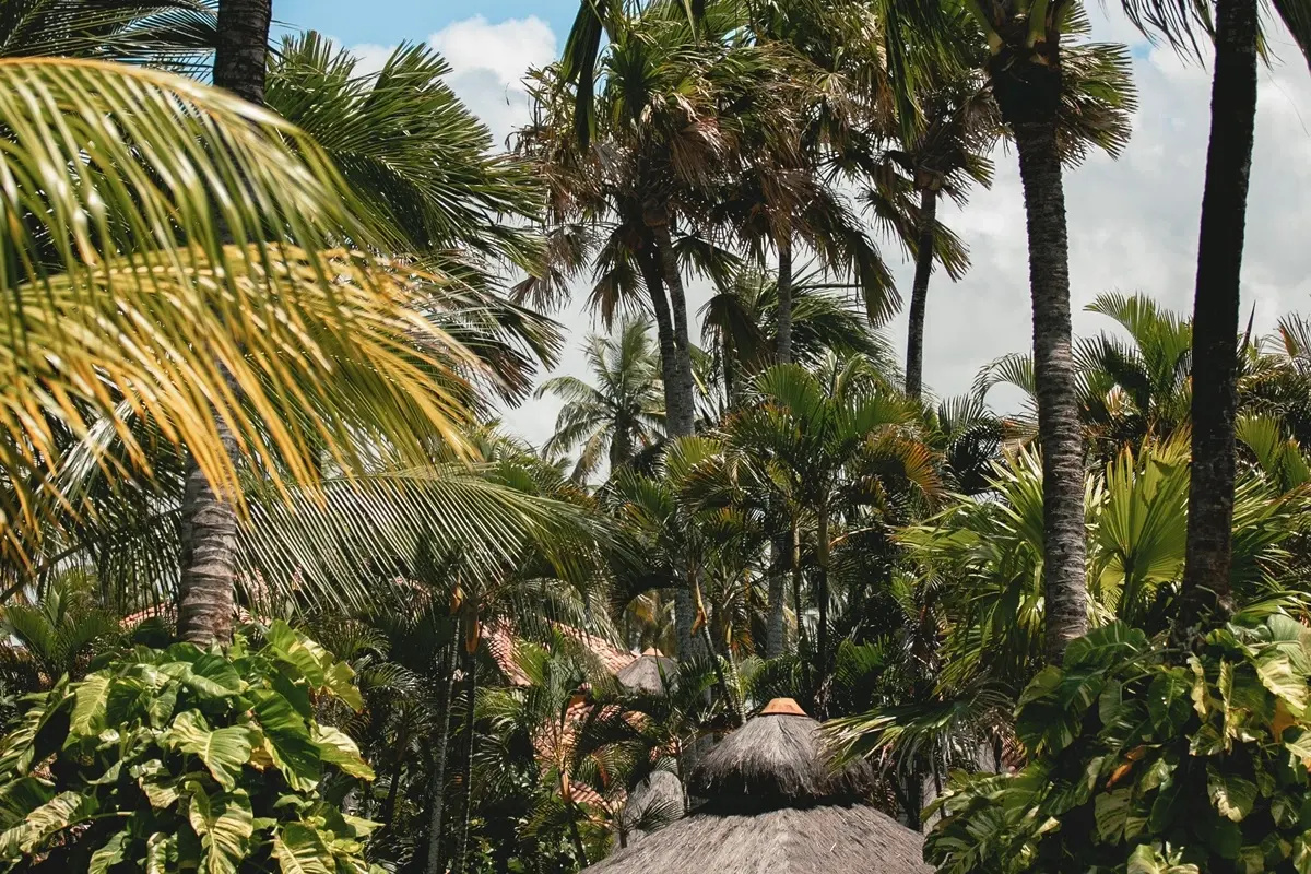 Photo - Ocaporã Hotel - All Inclusive