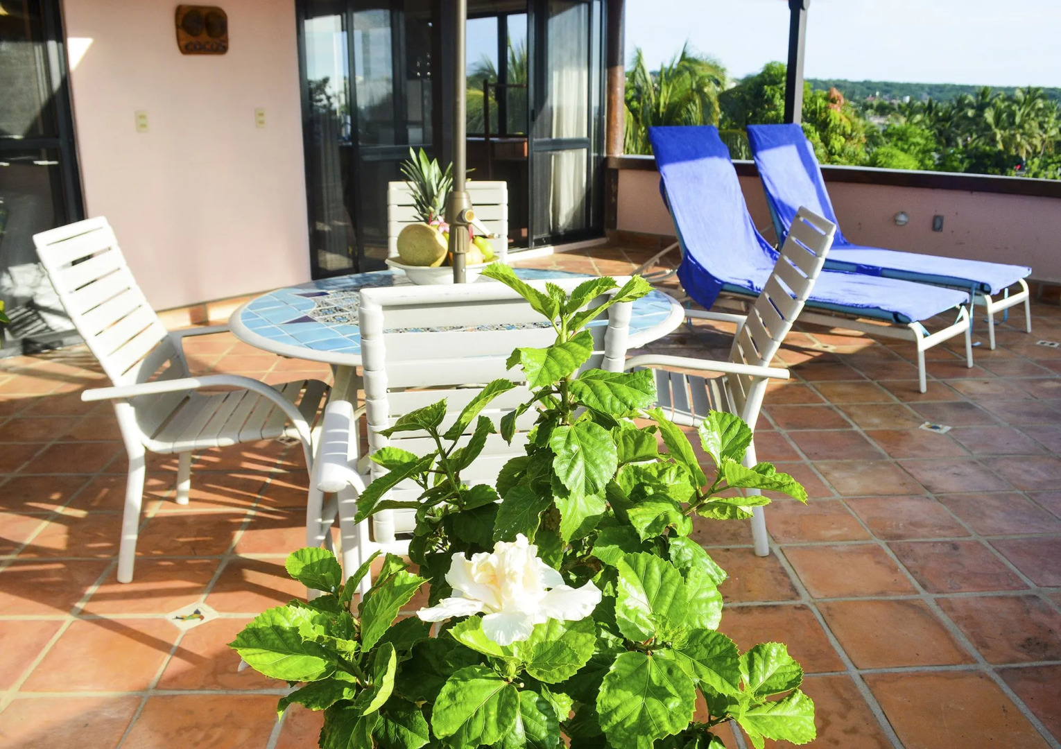 Foto - Hotel Casamar Suites