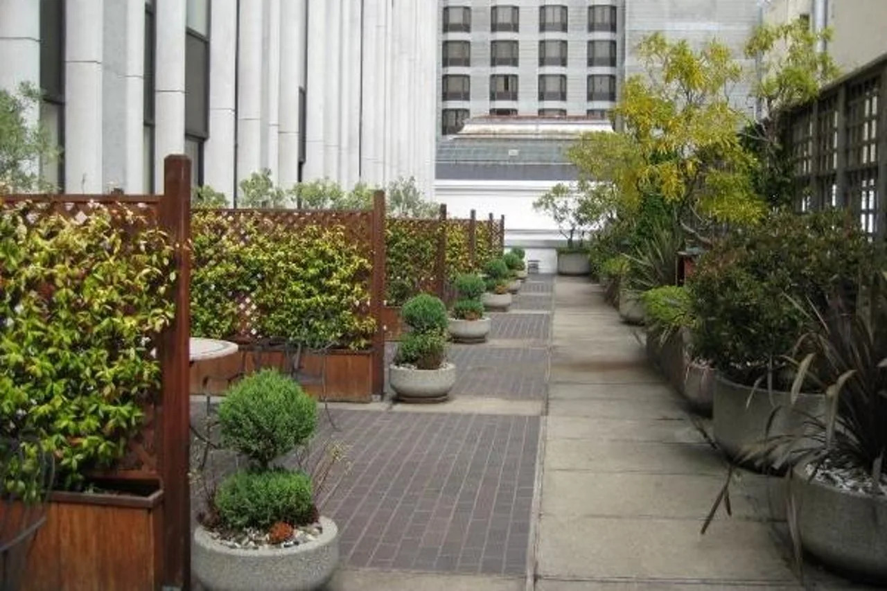 Foto - The Donatello Hotel