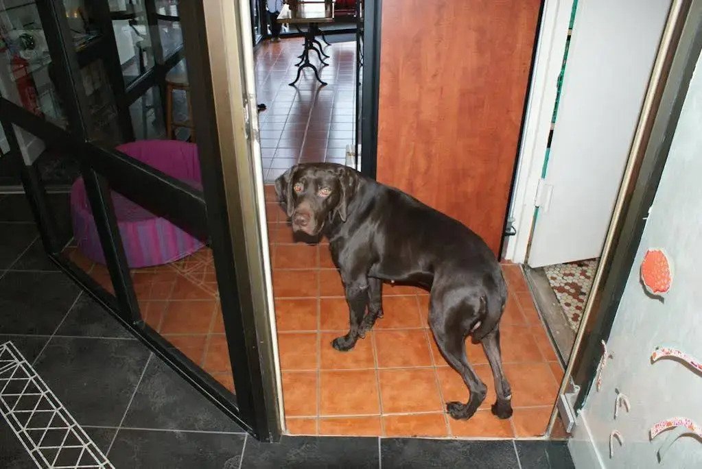 Foto - Hôtel Saint Jean